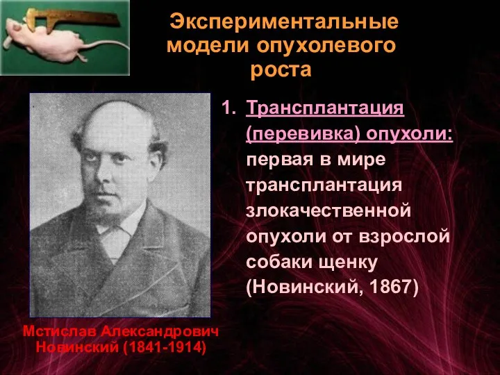 Экспериментальные модели опухолевого роста Трансплантация (перевивка) опухоли: первая в мире трансплантация злокачественной