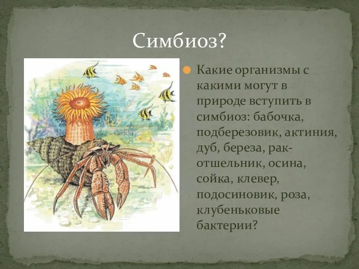 Симбиоз? Какие организмы с какими могут в природе вступить в симбиоз: бабочка,