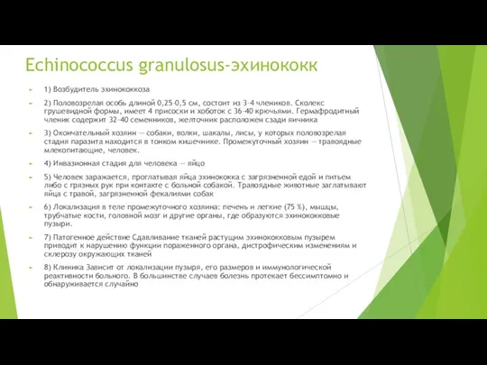 Echinococcus granulosus-эхинококк 1) Возбудитель эхинококкоза 2) Половозрелая особь длиной 0,25–0,5 см, состоит