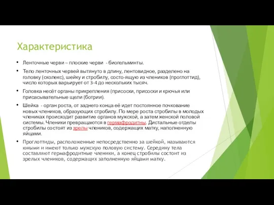 Характеристика Ленточные черви – плоские черви - биогельминты. Тело ленточных червей вытянуто