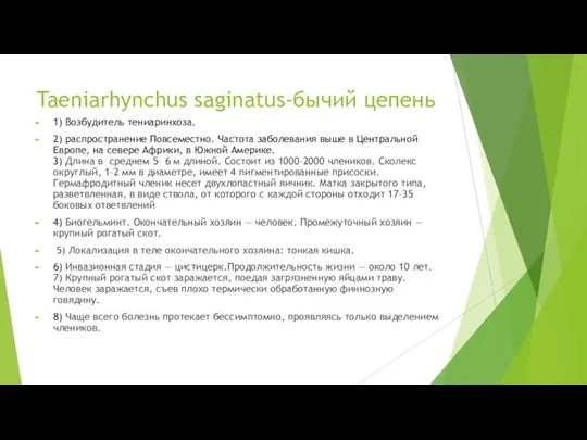 Taeniarhynchus saginatus-бычий цепень 1) Возбудитель тениаринхоза. 2) распространение Повсеместно. Частота заболевания выше