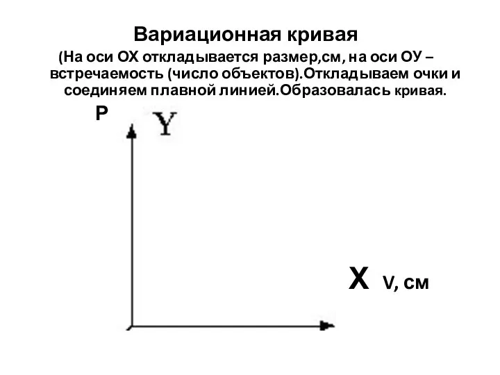 Вариационная кривая (На оси ОХ откладывается размер,см, на оси ОУ – встречаемость