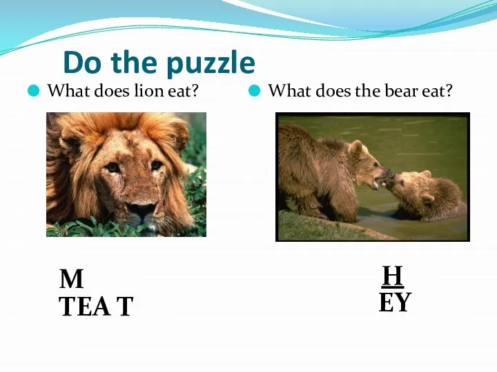 Do the puzzle What does lion eat? What does the bear eat?