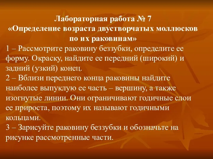 Лабораторная работа № 7 «Определение возраста двустворчатых моллюсков по их раковинам» 1