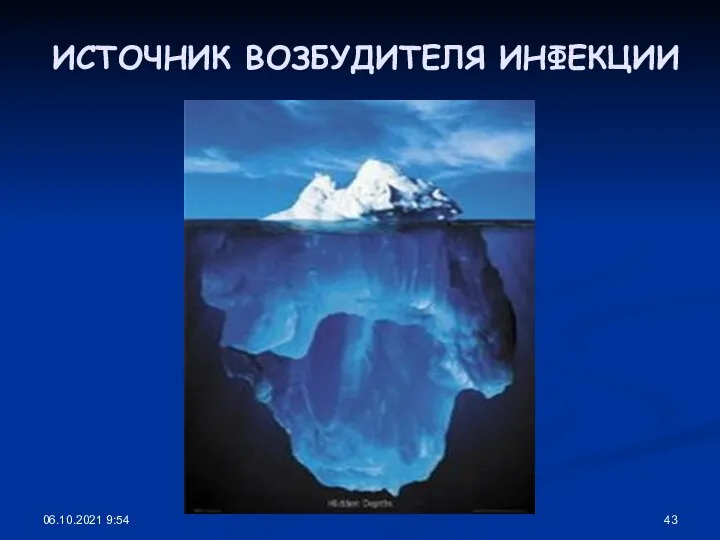 06.10.2021 9:54 ИСТОЧНИК ВОЗБУДИТЕЛЯ ИНФЕКЦИИ