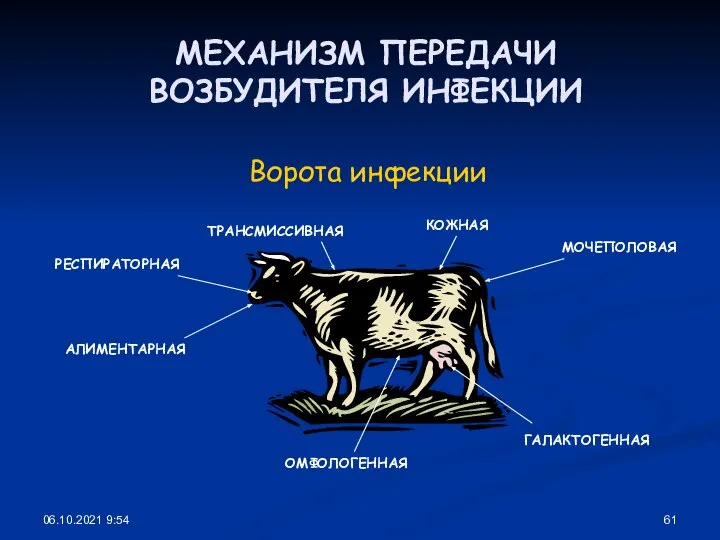 06.10.2021 9:54 Ворота инфекции МЕХАНИЗМ ПЕРЕДАЧИ ВОЗБУДИТЕЛЯ ИНФЕКЦИИ