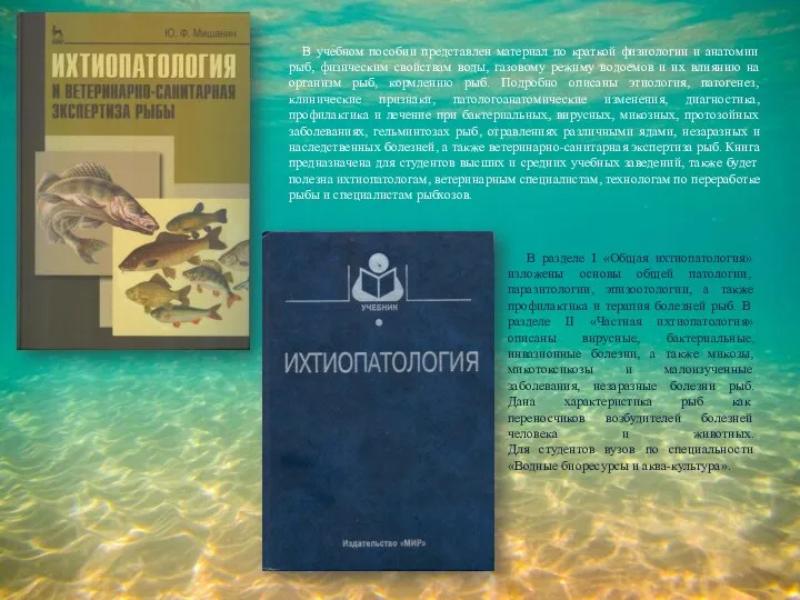 В учебном пособии представлен материал по краткой физиологии и анатомии рыб, физическим