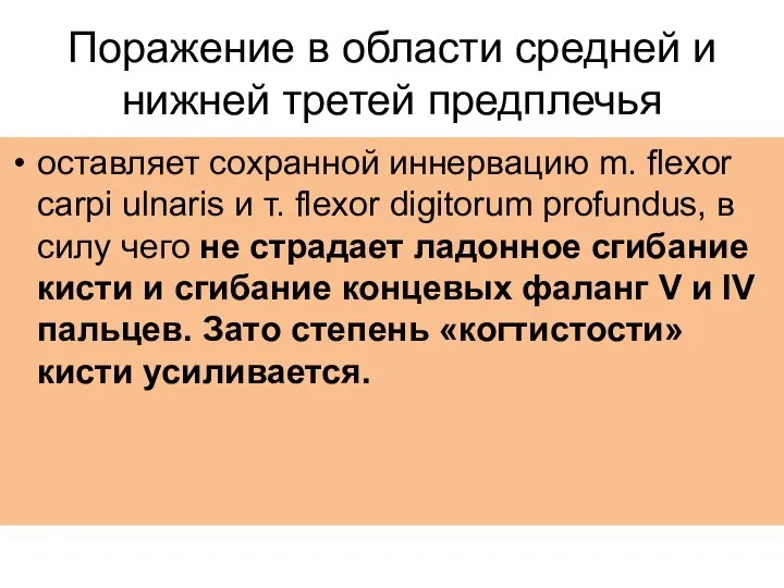 Поражение в области средней и нижней третей предплечья оставляет сохранной иннервацию m.