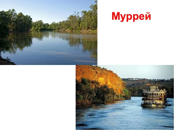 Муррей