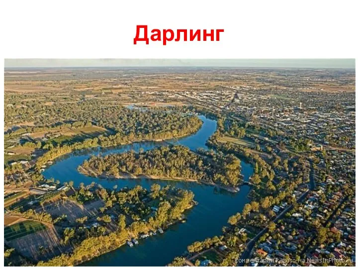 Дарлинг