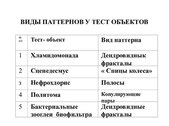 ВИДЫ ПАТТЕРНОВ У ТЕСТ ОБЪЕКТОВ