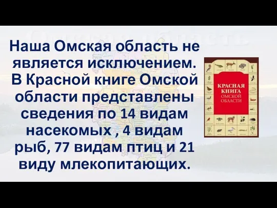 Наша Омская область не является исключением. В Красной книге Омской области представлены