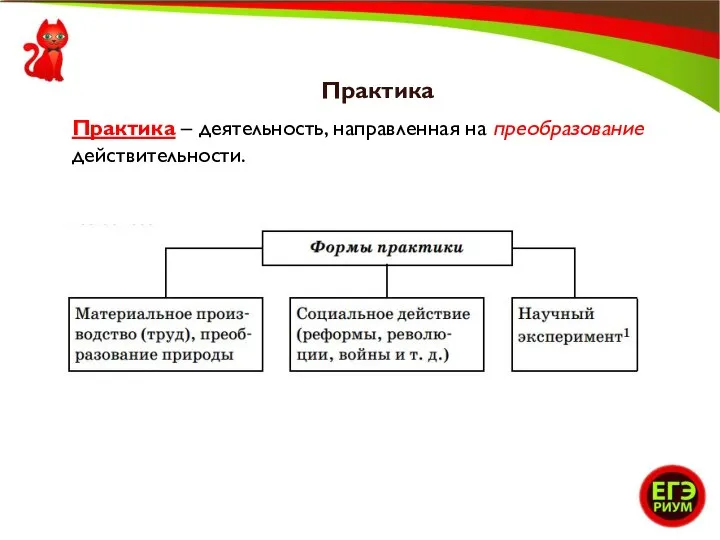 Практика Практика – деятельность, направленная на преобразование действительности.