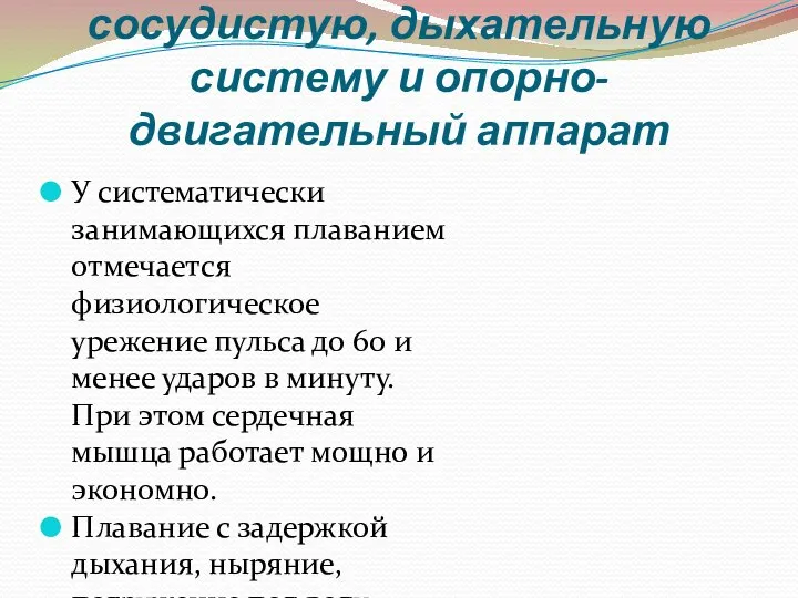 Влияние на сердечно-сосудистую, дыхательную систему и опорно-двигательный аппарат У систематически занимающихся плаванием