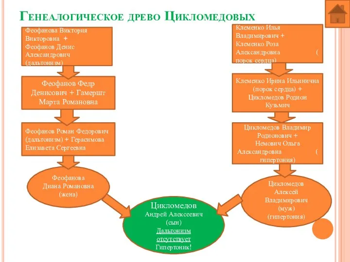 Генеалогическое древо Цикломедовых Феофанова Виктория Викторовна + Феофанов Денис Александрович (дальтонизм) Клеменко