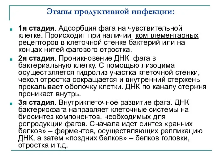 Этапы продуктивной инфекции: 1я стадия. Адсорбция фага на чувствительной клетке. Происходит при