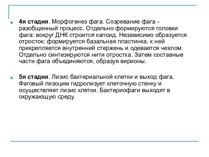 4я стадия. Морфогенез фага. Созревание фага - разобщенный процесс. Отдельно формируются головки