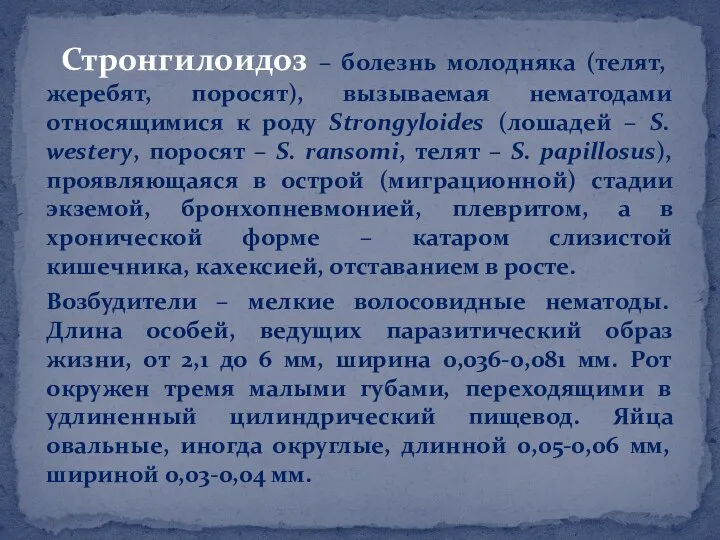 Стронгилоидоз – болезнь молодняка (телят, жеребят, поросят), вызываемая нематодами относящимися к роду