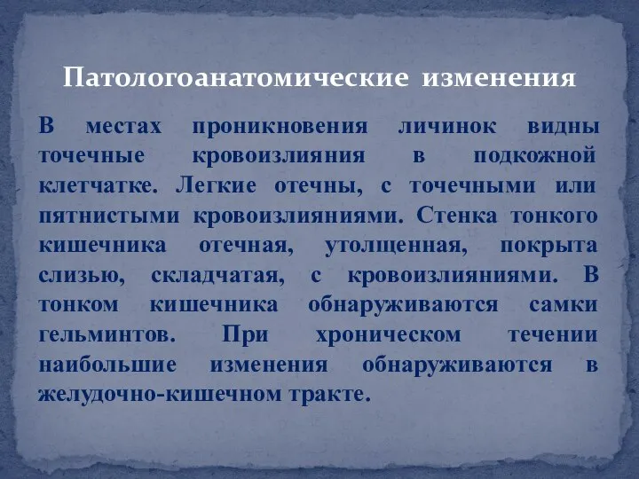 Патологоанатомические изменения В местах проникновения личинок видны точечные кровоизлияния в подкожной клетчатке.