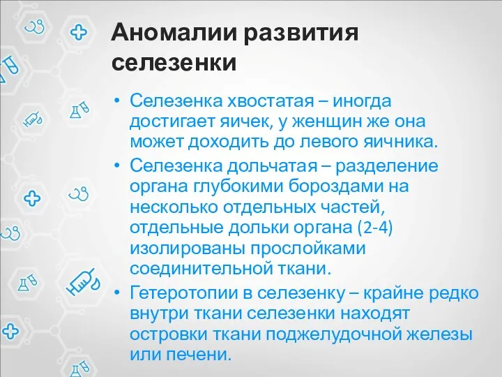 Аномалии развития селезенки Селезенка хвостатая – иногда достигает яичек, у женщин же