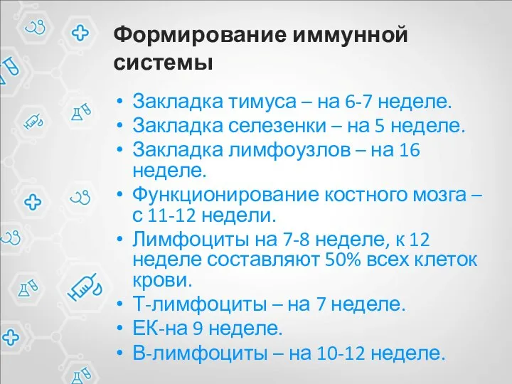 Формирование иммунной системы Закладка тимуса – на 6-7 неделе. Закладка селезенки –