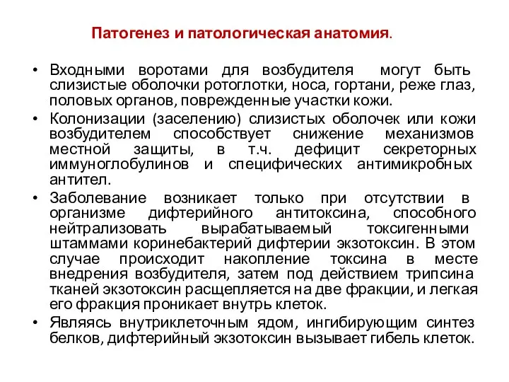 Патогенез и патологическая анатомия. Входными воротами для возбудителя могут быть слизистые оболочки