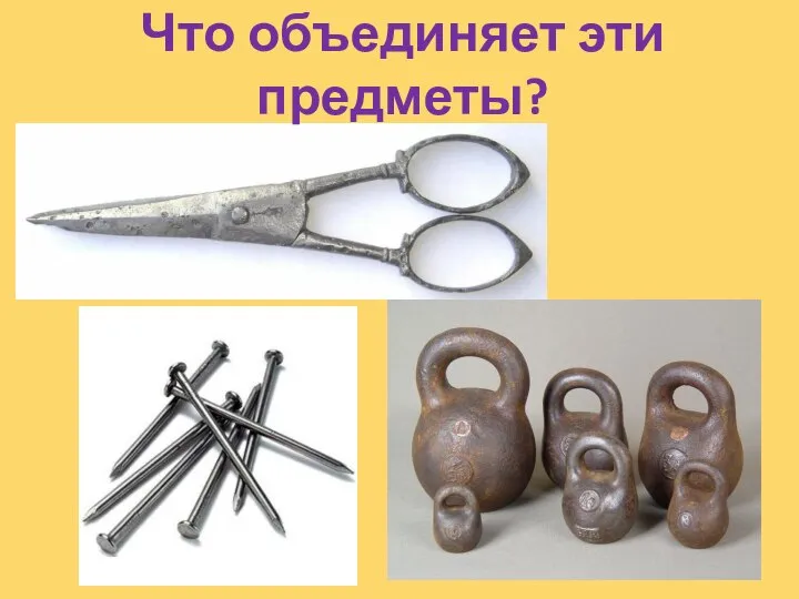 Что объединяет эти предметы?