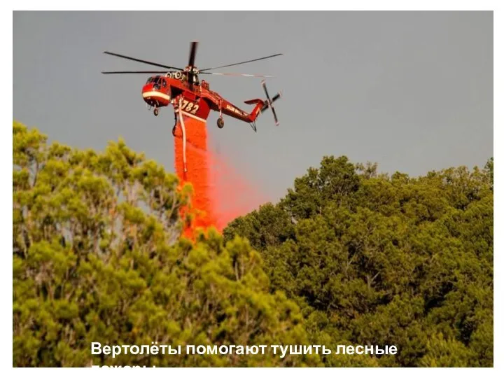 Вертолёты помогают тушить лесные пожары.