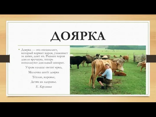 ДОЯРКА Доярка — это специалист, который кормит коров, ухаживает за ними, доит