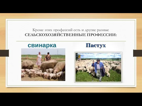 Кроме этих профессий есть и другие разные СЕЛЬСКОХОЗЯЙСТВЕННЫЕ ПРОФЕССИИ: