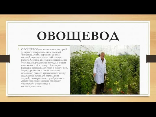 ОВОЩЕВОД ОВОЩЕВОД — это человек, который занимается выращиванием овощей. Чтобы получить хороший