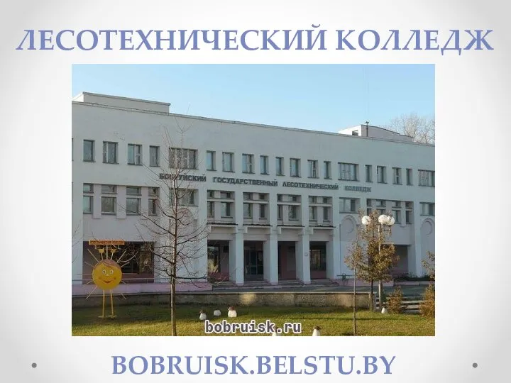 ЛЕСОТЕХНИЧЕСКИЙ КОЛЛЕДЖ BOBRUISK.BELSTU.BY