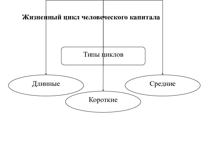 Жизненный цикл человеческого капитала