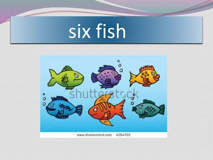 six fish