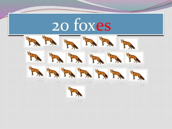 20 foxes