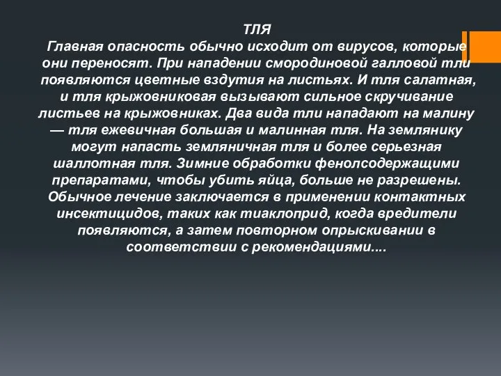 ТЛЯ Главная опасность обычно исходит от вирусов, которые они переносят. При нападении