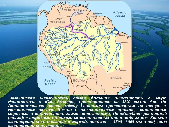 Амазонская низменность самая большая низменность в мире. Расположена в Юж. Америке, простирается
