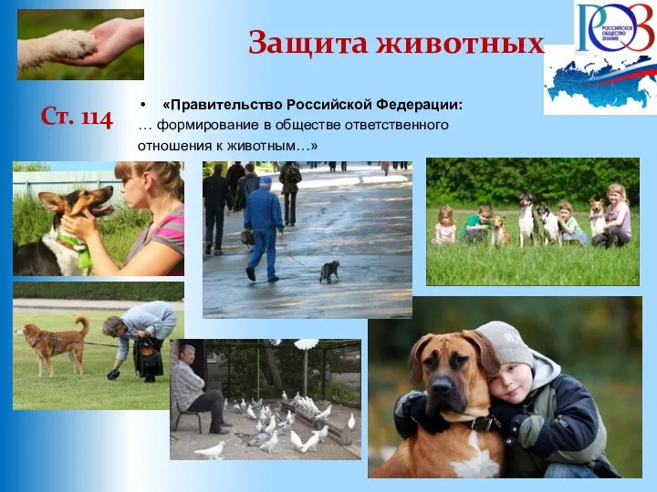 Защита животных Ст. 114 «Правительство Российской Федерации: … формирование в обществе ответственного отношения к животным…»