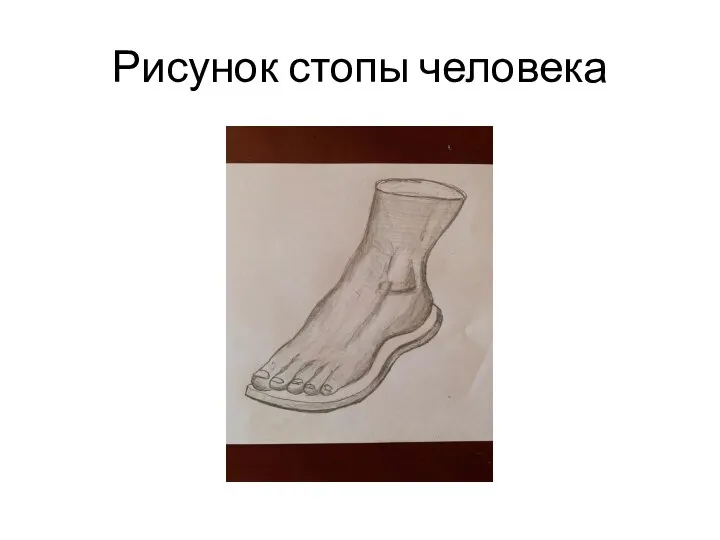 Рисунок стопы человека