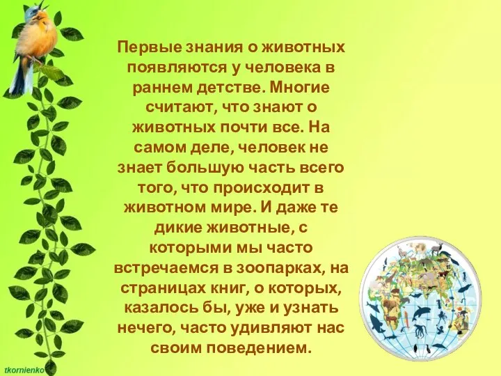 Первые знания о животных появляются у человека в раннем детстве. Многие считают,