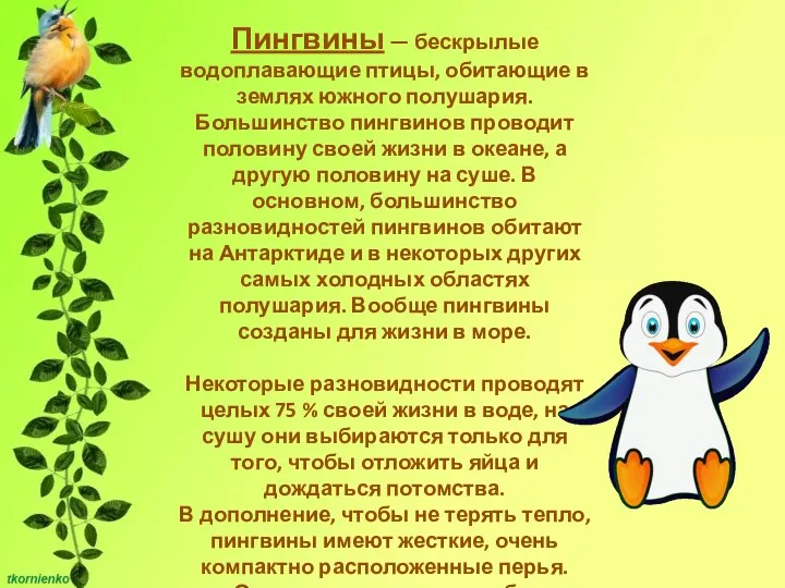 Пингвины — бескрылые водоплавающие птицы, обитающие в землях южного полушария. Большинство пингвинов