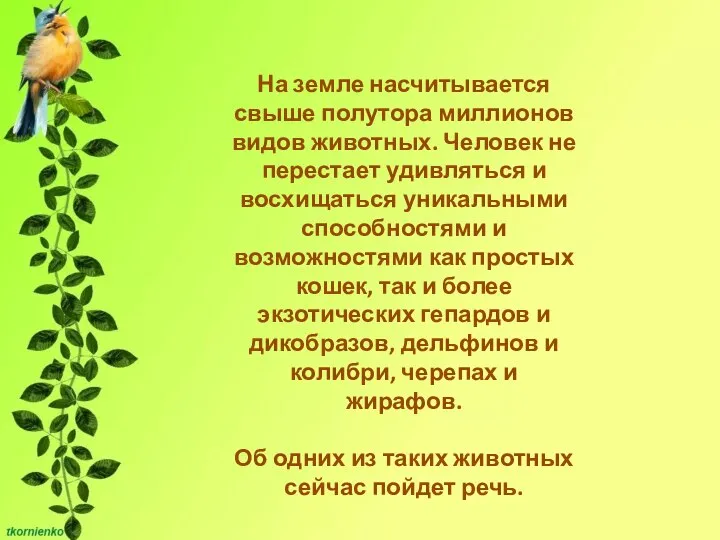 На земле насчитывается свыше полутора миллионов видов животных. Человек не перестает удивляться