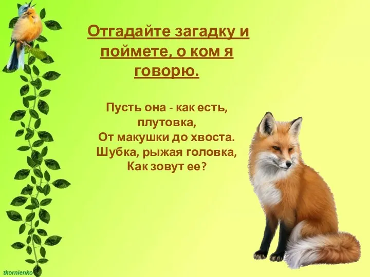 Отгадайте загадку и поймете, о ком я говорю. Пусть она - как