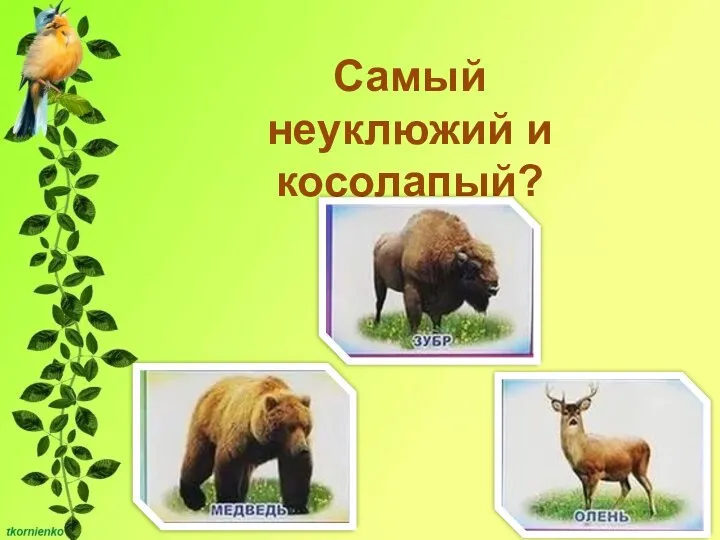 Самый неуклюжий и косолапый?