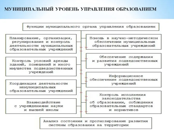 МУНИЦИПАЛЬНЫЙ УРОВЕНЬ УПРАВЛЕНИЯ ОБРАЗОВАНИЕМ