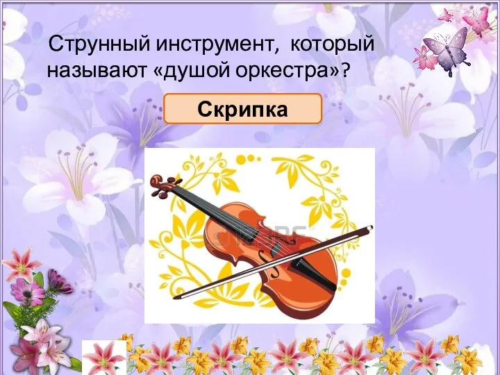 Струнный инструмент, который называют «душой оркестра»? Скрипка