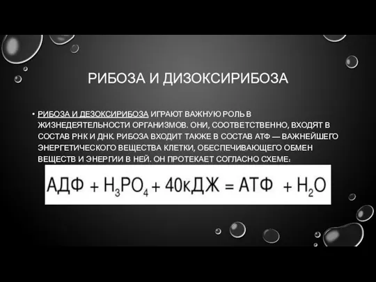 РИБОЗА И ДИЗОКСИРИБОЗА РИБОЗА И ДЕЗОКСИРИБОЗА ИГРАЮТ ВАЖНУЮ РОЛЬ В ЖИЗНЕДЕЯТЕЛЬНОСТИ ОРГАНИЗМОВ.