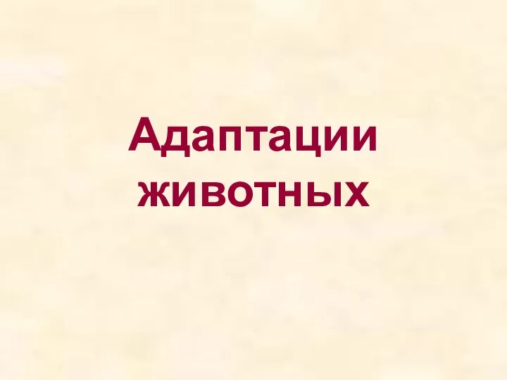 Адаптации животных