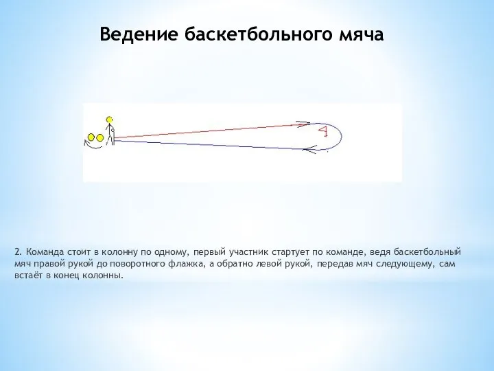 Ведение баскетбольного мяча 2. Команда стоит в колонну по одному, первый участник