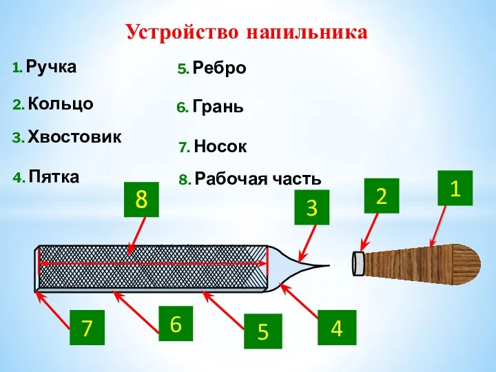 7. Носок 6. Грань 5. Ребро 4. Пятка 2. Кольцо 3. Хвостовик